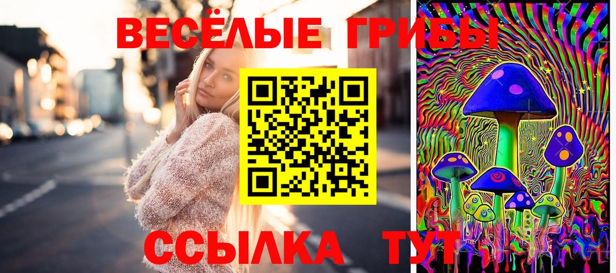 Галлюциногенные грибы ЛСД Губкин
